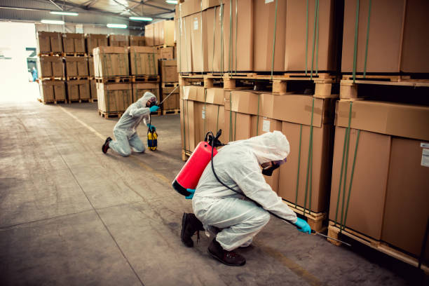 Best Wildlife Control Services  in Mamou, LA