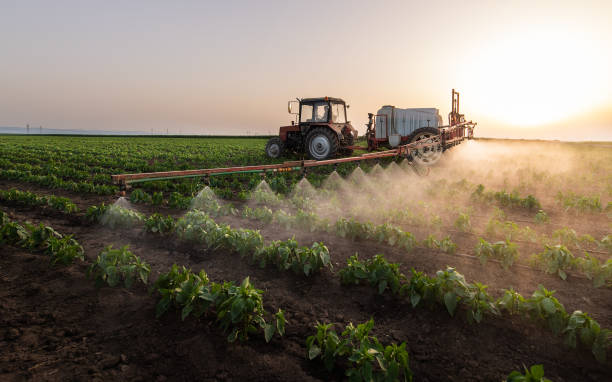 Best Mosquito Control Services  in Mamou, LA