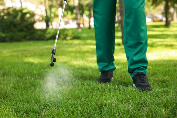 Best Pest Inspection Near Me  in Mamou, LA