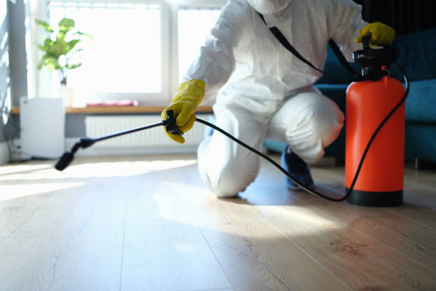 Best Flea Control Services  in Mamou, LA