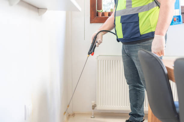 Best Termite Control Services  in Mamou, LA