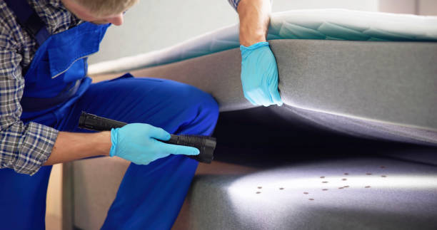 Best Pest Inspection Near Me  in Mamou, LA
