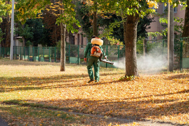 Best Pest Control for Businesses  in Mamou, LA