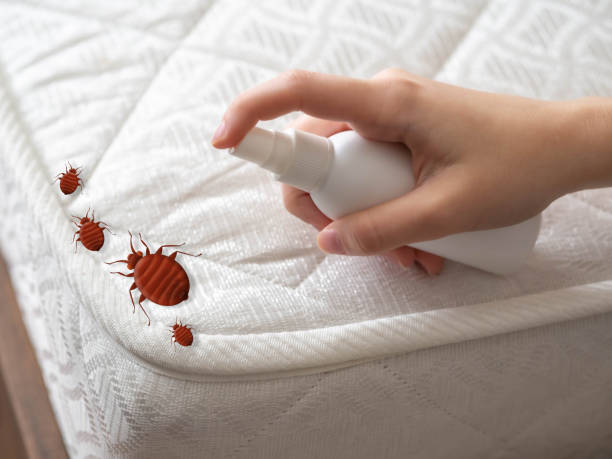 Best Affordable Pest Control Services  in Mamou, LA