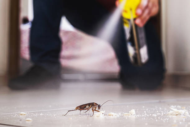 Best Wildlife Control Services  in Mamou, LA
