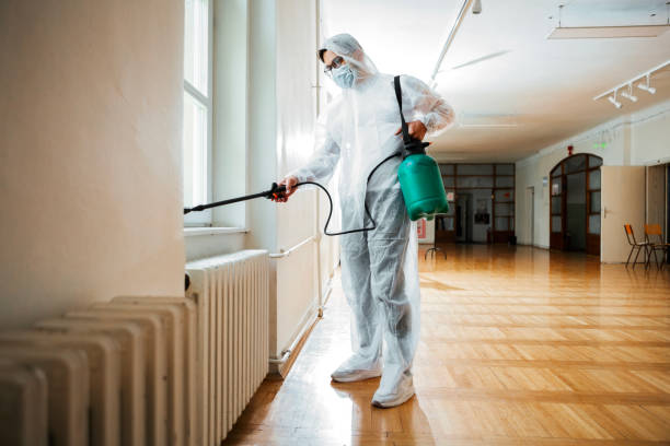 Reliable Mamou, LA Pest Control Solutions