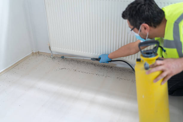 Best Exterminator Services  in Mamou, LA